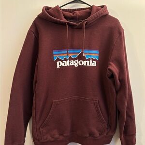 Patagonia Brown Sweatshirt Hoodie Classic Style